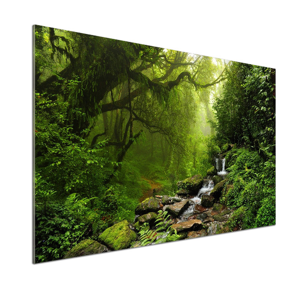 Panou sticla securizata bucatarie Jungle în Nepal