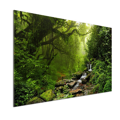 Panou sticla securizata bucatarie Jungle în Nepal