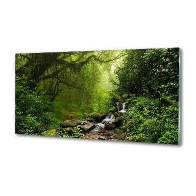 Panou sticla securizata bucatarie Jungle în Nepal