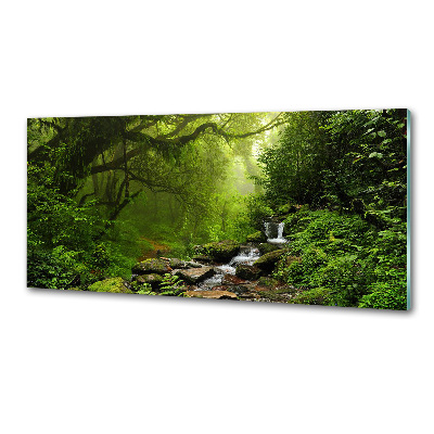 Panou sticla securizata bucatarie Jungle în Nepal
