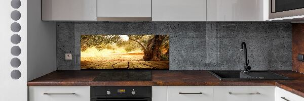 Panou sticla securizata bucatarie oliv