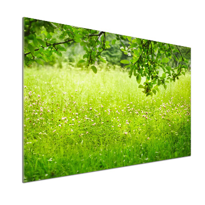 Panou sticla securizata bucatarie pajiște verde