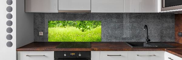 Panou sticla securizata bucatarie pajiște verde
