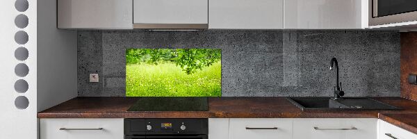 Panou sticla securizata bucatarie pajiște verde
