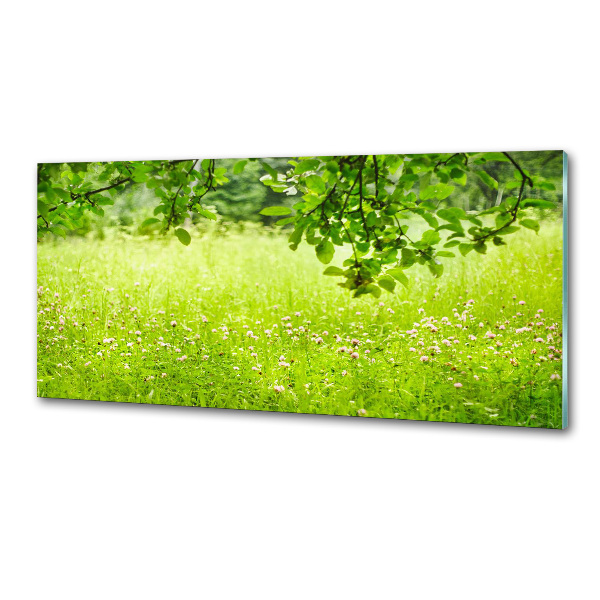 Panou sticla securizata bucatarie pajiște verde