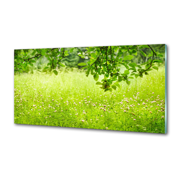 Panou sticla securizata bucatarie pajiște verde