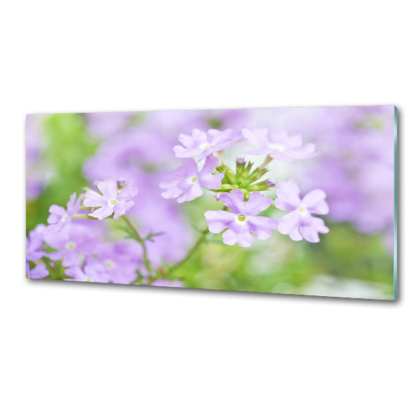 Panou de bucătărie Verbena