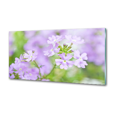Panou de bucătărie Verbena