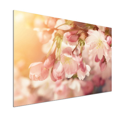 Panou sticlă decorativa bucătărie flori de cireș