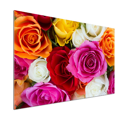 Panou sticlă decorativa bucătărie trandafiri colorați