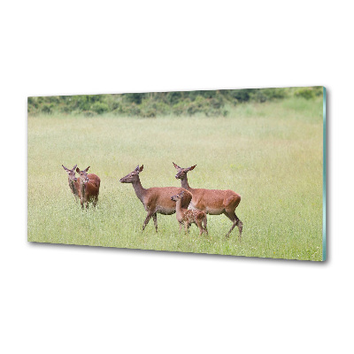 Panou sticlă decorativa bucătărie Deer cu tinere