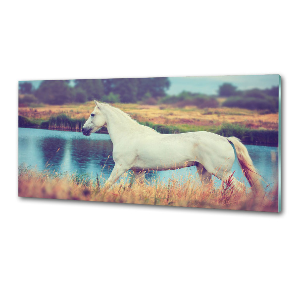 Sticlă pentru bucătărie White Lake Horse