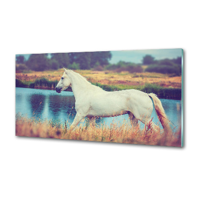 Sticlă pentru bucătărie White Lake Horse