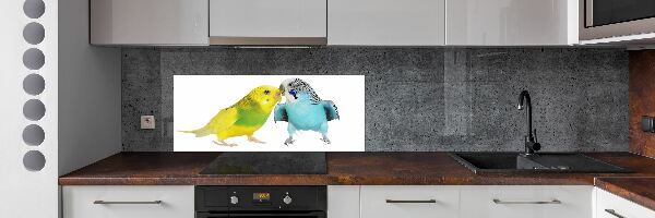 Sticlă printata bucătărie budgies