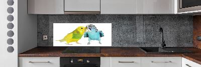 Sticlă printata bucătărie budgies