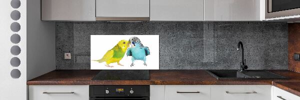 Sticlă printata bucătărie budgies