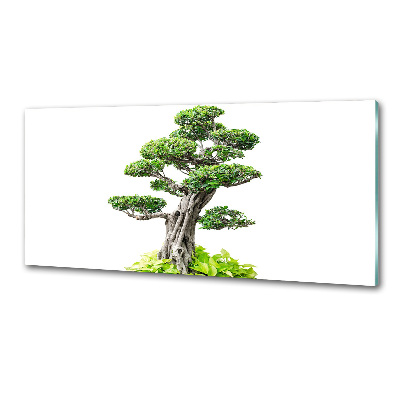 Sticlă pentru bucătărie copac bonsai