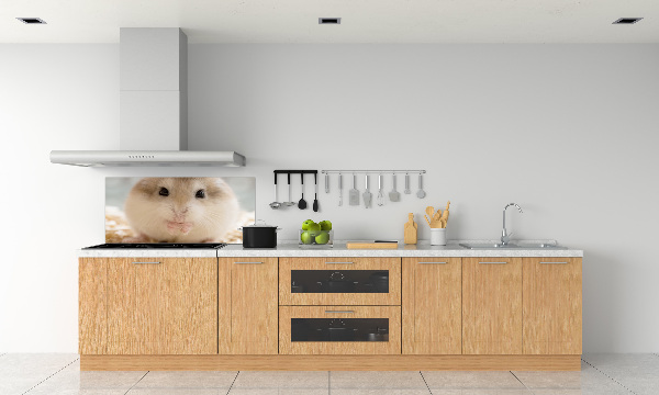 Sticlă bucătărie Hamster