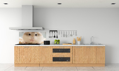 Sticlă bucătărie Hamster