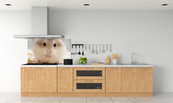 Sticlă bucătărie Hamster