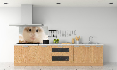 Sticlă bucătărie Hamster