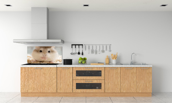 Sticlă bucătărie Hamster