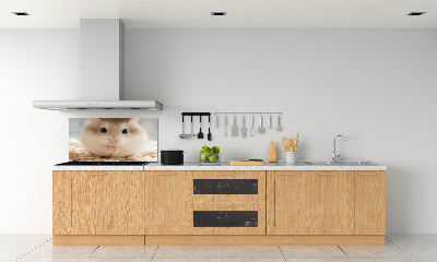 Sticlă bucătărie Hamster