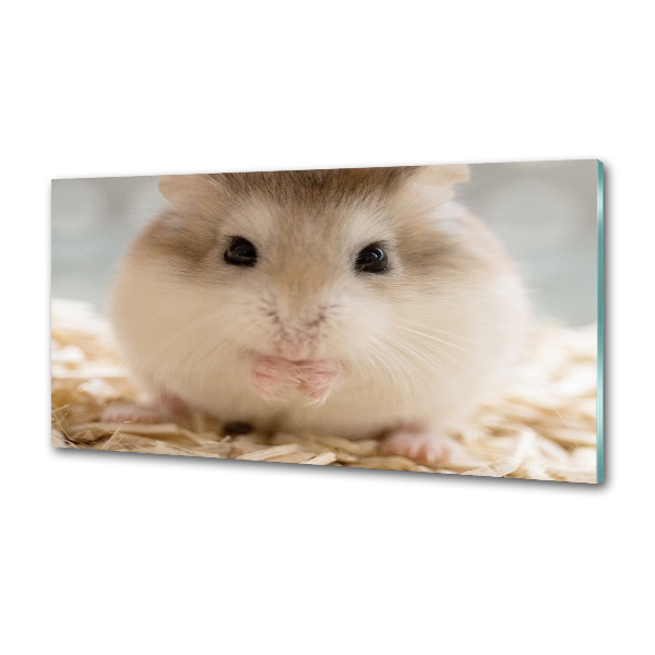 Sticlă bucătărie Hamster