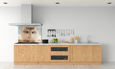 Sticlă bucătărie Hamster