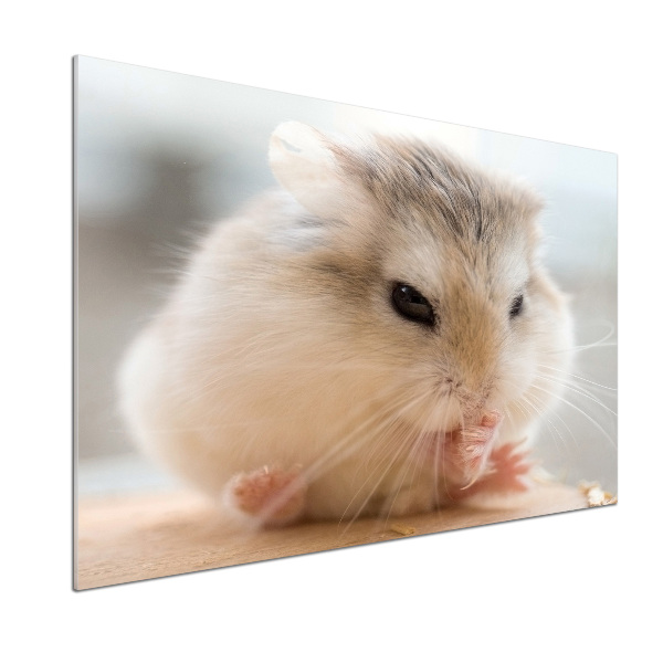 Panou sticlă decorativa bucătărie Hamster