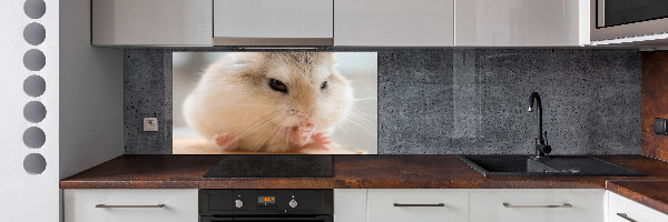 Panou sticlă decorativa bucătărie Hamster