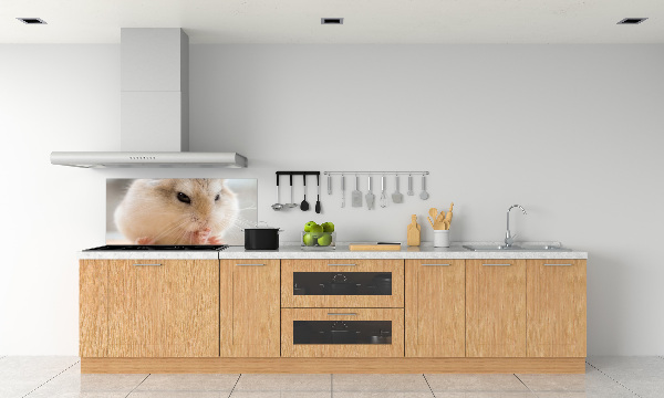 Panou sticlă decorativa bucătărie Hamster