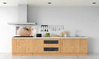 Panou sticlă decorativa bucătărie Hamster