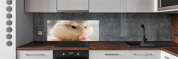 Panou sticlă decorativa bucătărie Hamster