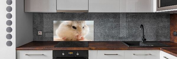 Panou sticlă decorativa bucătărie Hamster