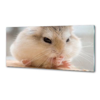 Panou sticlă decorativa bucătărie Hamster