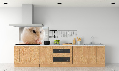 Panou sticlă decorativa bucătărie Hamster