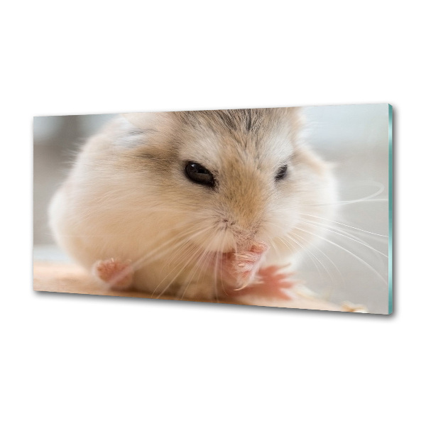 Panou sticlă decorativa bucătărie Hamster