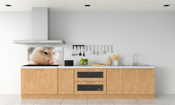 Panou sticlă decorativa bucătărie Hamster