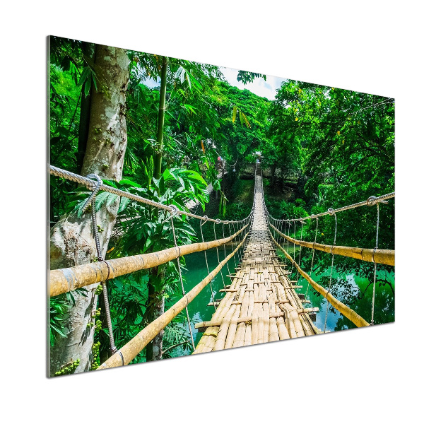 Panou sticlă decorativa bucătărie Cele mai multe Rainforest