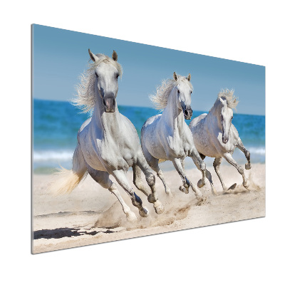 Panou sticlă decorativa bucătărie White Beach Horse