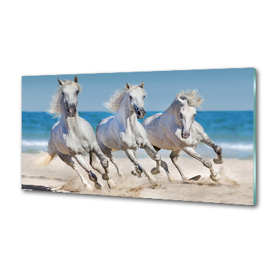 Panou sticlă decorativa bucătărie White Beach Horse