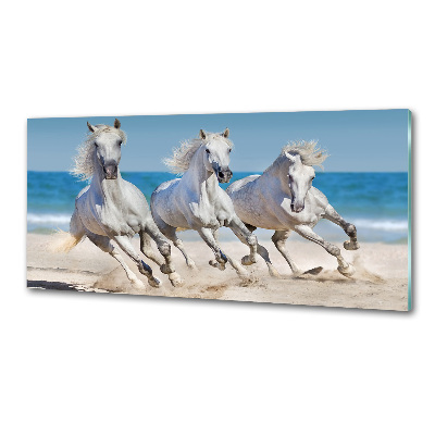 Panou sticlă decorativa bucătărie White Beach Horse