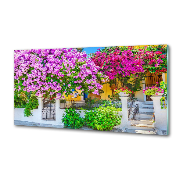 Sticlă pentru bucătărie Casa cu bougainvillea