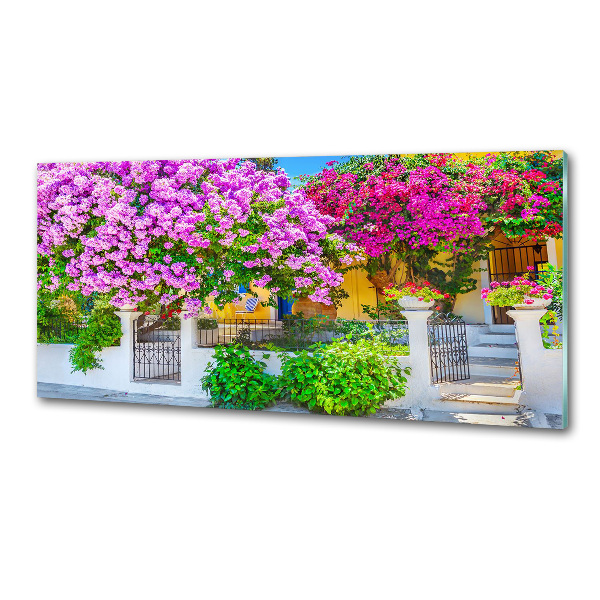 Sticlă pentru bucătărie Casa cu bougainvillea