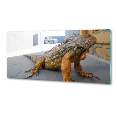 Panou sticlă bucătărie Iguană