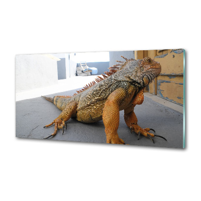 Panou sticlă bucătărie Iguană