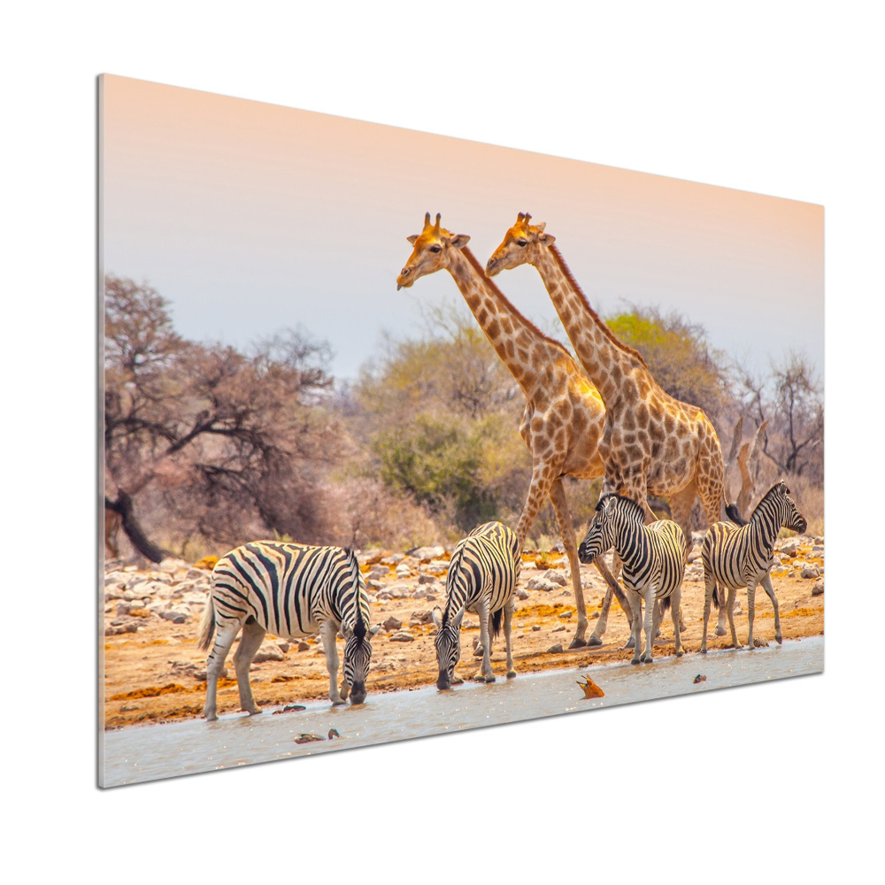 Panou sticla securizata bucatarie Girafe și zebre