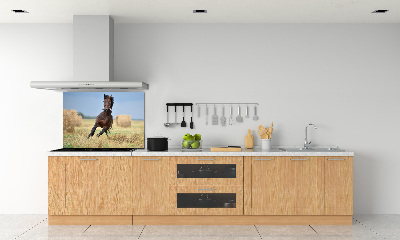 Panou perete bucătărie Un cal în galop