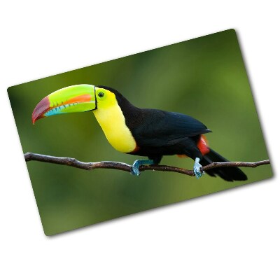 Tocător sticlă Toucan